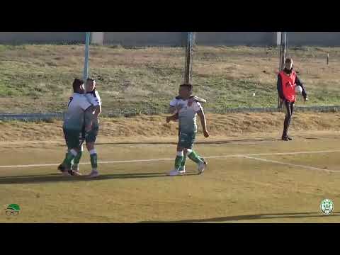 goles v dock sud 4-1 fecha 2 clausura