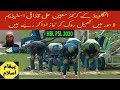 Moin Ali Stopped Playing Cricket And Praying Namaz In Psl 5 Lahore