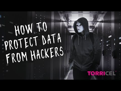 How Torricel stops internet hackers from attacking use fraud profile data.