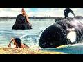 Tiny Girls VS KILLER WHALE