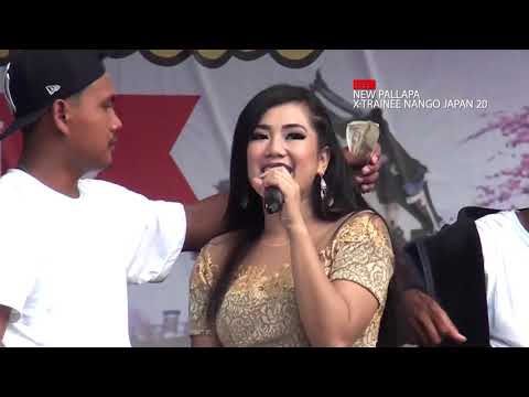 BIDADARI KESLEO   AYU ARSITA NEW PALLAPA X-TRAINEE NANGO JAPAN 20