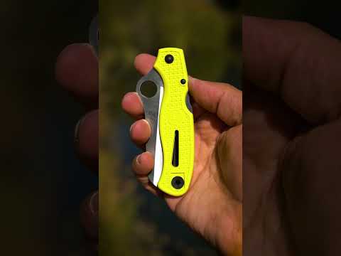 Spyderco Atlantic Salt C89SBK Knife Review | OsoGrandeKnives