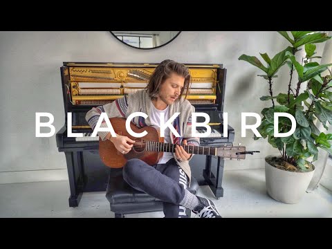 Blackbird (Acoustic Cover) - Cory Asbury