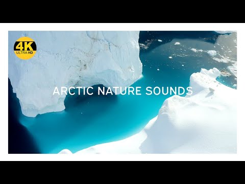 Arctic Nature Sounds 4K • Scenic Film with Sounds for Relaxation and Sleep • ASMR
