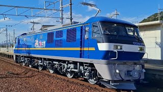 【ピカピカ✨】EF210-379[吹]　川崎車両出場公式試運転　試単9962レ　曽根駅通過