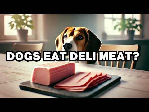 Can Dogs Eat Deli Meat? Explained