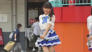 [問卦] 藍白是不是超可愛的？