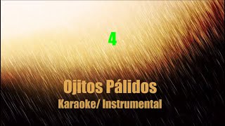 Ojitos Pálidos(Pale Blue Eyes) | Karaoke/ Instrumental | Carla Morrison (Cover Velvet Underground)