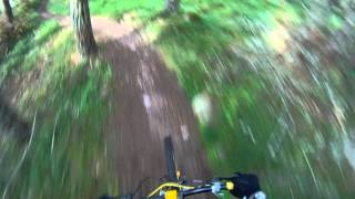 preview picture of video 'Golspie Red Run Singletrack MTB'
