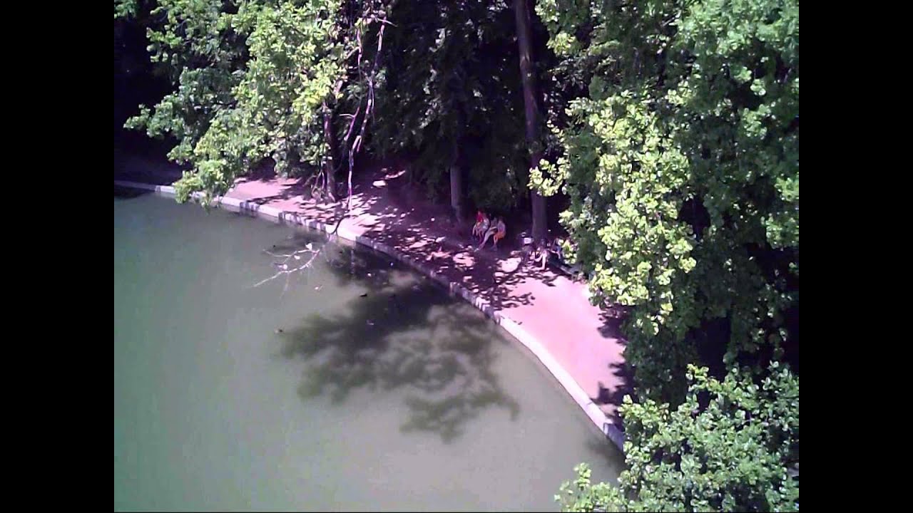 RC dron s FPV monitorom Rayline R809 VLFPV