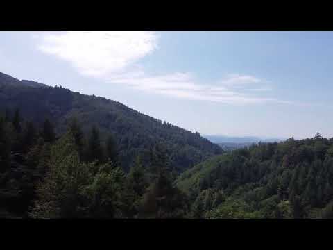 Drohne Schwarzwald bei Wehr