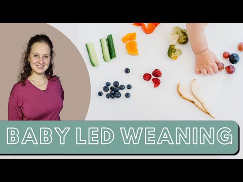 Baby Led Weaning (BLW): Guide and tips for starting with this complementary feeding method