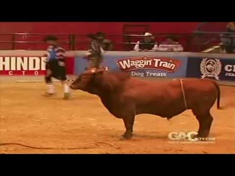 Range War bucks Jimmy Lathero - 09 CBR Lufkin