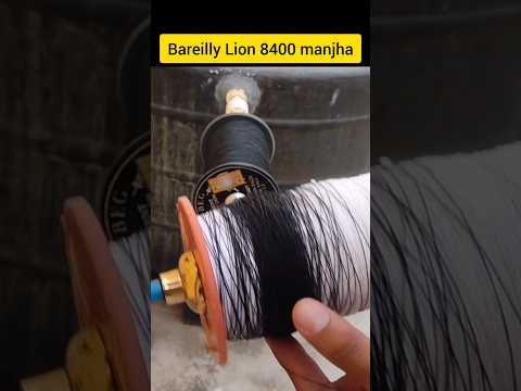 Bareilly Lion 8400 manjha #shorts