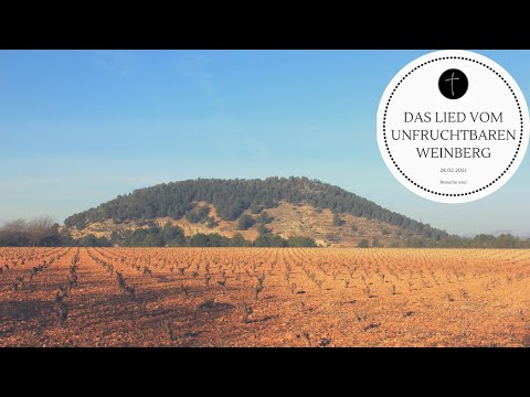 DAS LIED VOM UNFRUCHTBAREN WEINBERG