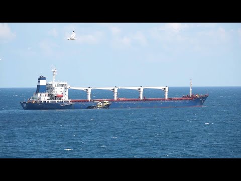 GLOBALink | 1st grain-laden ship from Ukraine passes through Istanbul's Bosphorus Strait