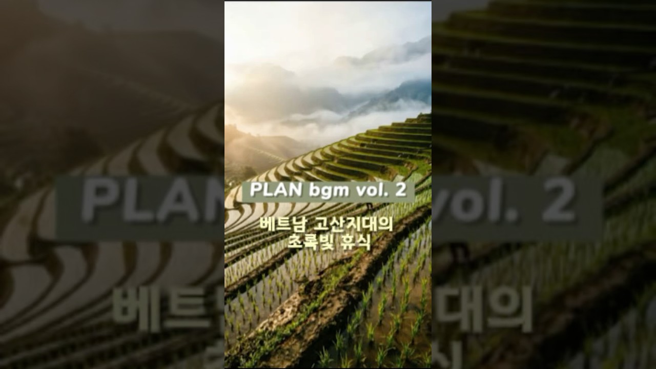 🎧 베트남 고산지대에서 보내는 초록빛 위로 (Plan BGM)