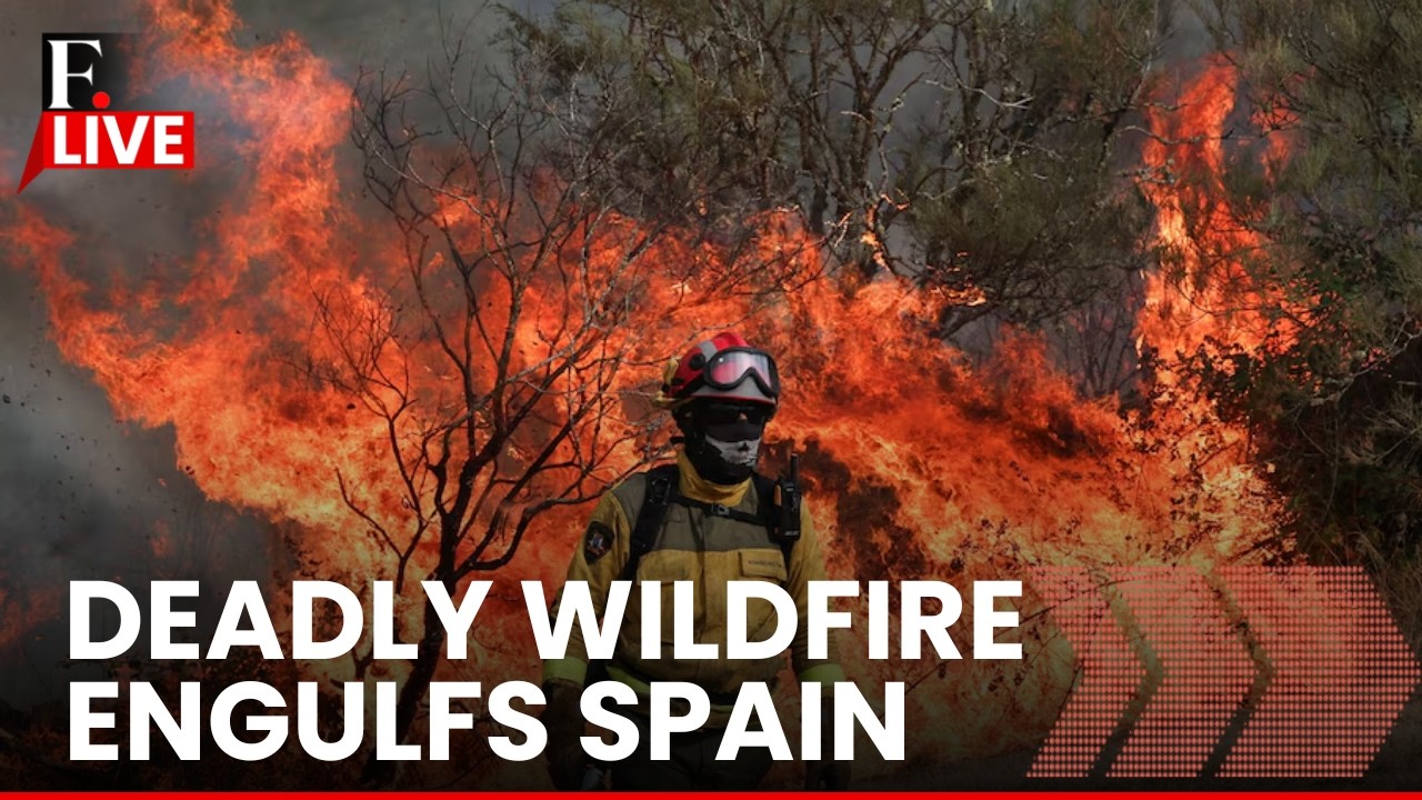 Deadly Spain Wildfire LIVE: Heatwave Triggers Deadly Wildfire in Spain | More than 10 Killed