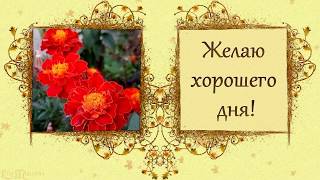 Желаю чтобы у тебя всегда клевало
