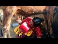 Milking A Cow Using A Pot Held In The Mouth Cow Milking By Hand