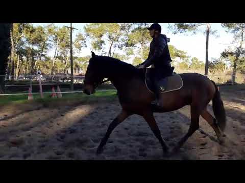 11/01/20 Stéphanie et Magico