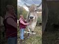 This Man Owns A Giant Animal On His Farm