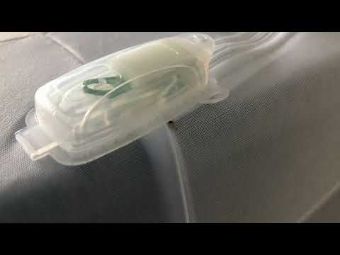 Mattress Encasements Don't Prevent Bed Bugs in Belmar, NJ