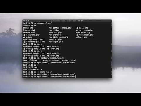 Command Line/Terminal Basics 3: Autocomplete and command history