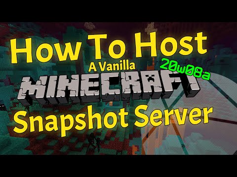 Voizdev - How To Host A Minecraft Snapshot Server (Works On Every Version)