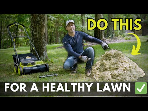 How to Dethatch Your Lawn (Tips for a Thicker & Healthier Lawn)
