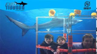 DIA 2 Expo Tiburon236