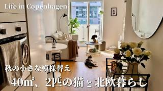 北欧の冬に怯えつつ…秋も猫とヒュッゲな北欧暮らし🐈40㎡1LDK2人暮らし|Life in Copenhagen with our Cats