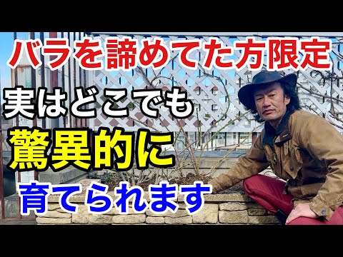 イバラを破壊する方法 塩を足に投げる イバラの神話 現実をカットする 根絶する