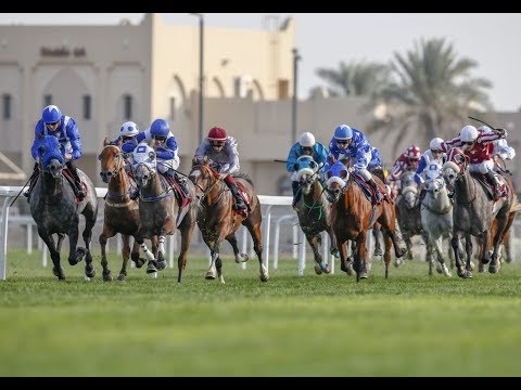 37th Race Meeting of season 2018/2019
