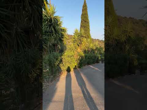 Walk into Vathy, Ithaca.  July 2024.