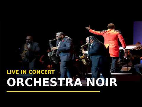 Orchestra Noir video