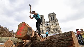 Sur le parvis de Notre-Dame, les charpentiers exposent leur savoir-faire