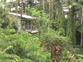 Waterfall Cottage - Mika Mizu - Tree Top Paradise ...
