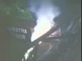 Wild Beasts Escape