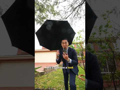 131 Norfolk Road, North Epping, NSW 2121, 5 phòng ngủ, 3 phòng tắm, House