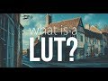 What Is A LUT Using LUTs To Color Grade PHOTOS VIDEOS