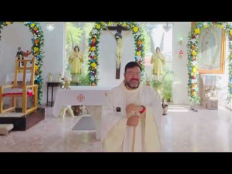 ¿Qué tienes que barrer en tu vida? San Martín de Porres