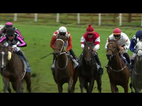 CH, 26. 9. 2020, 6. dostih - 42. Velká cena Prahy MERIDIAN TEAM A LOKOTRANS SUBOTICA