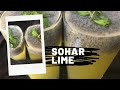 സോഹാർ  ലൈം/Sohar Lime ?