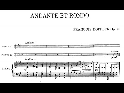 Franz Doppler - Andante et Rondo, Op.25