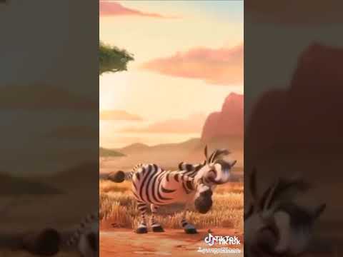 TikTok zebra lion cub
