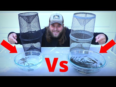 Minnow Trapping - Black Vs Silver Trap (400+ Caught!)