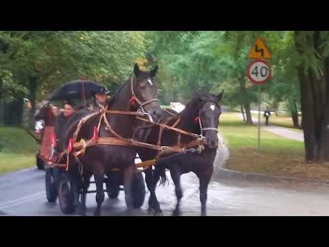 2017 09 03 114925 Dorohusk Dożynki