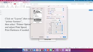 How to use PL60 printer set and print a sample file on Mac