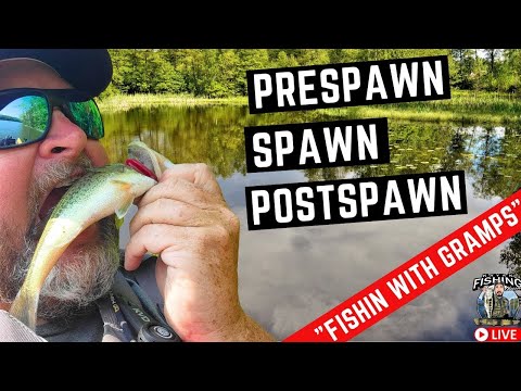 Pre spawn - Spawn - Post spawn Bass Fishing with  Fishin With Gramps